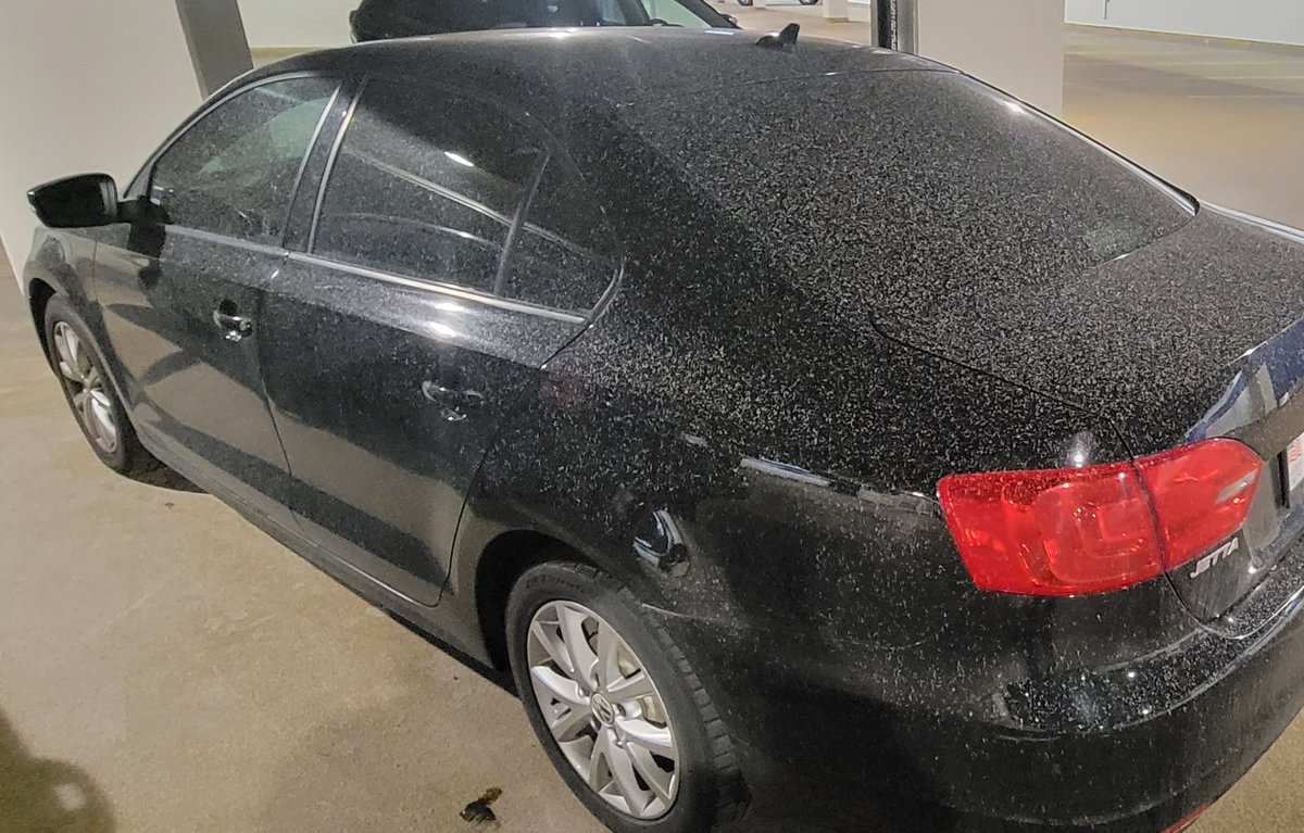ciskinlichee's tweet photo. My car has a rash! 👀🤔😳😜😁🤪
#MuddyRain https://t.co/SgVehQ1f3H