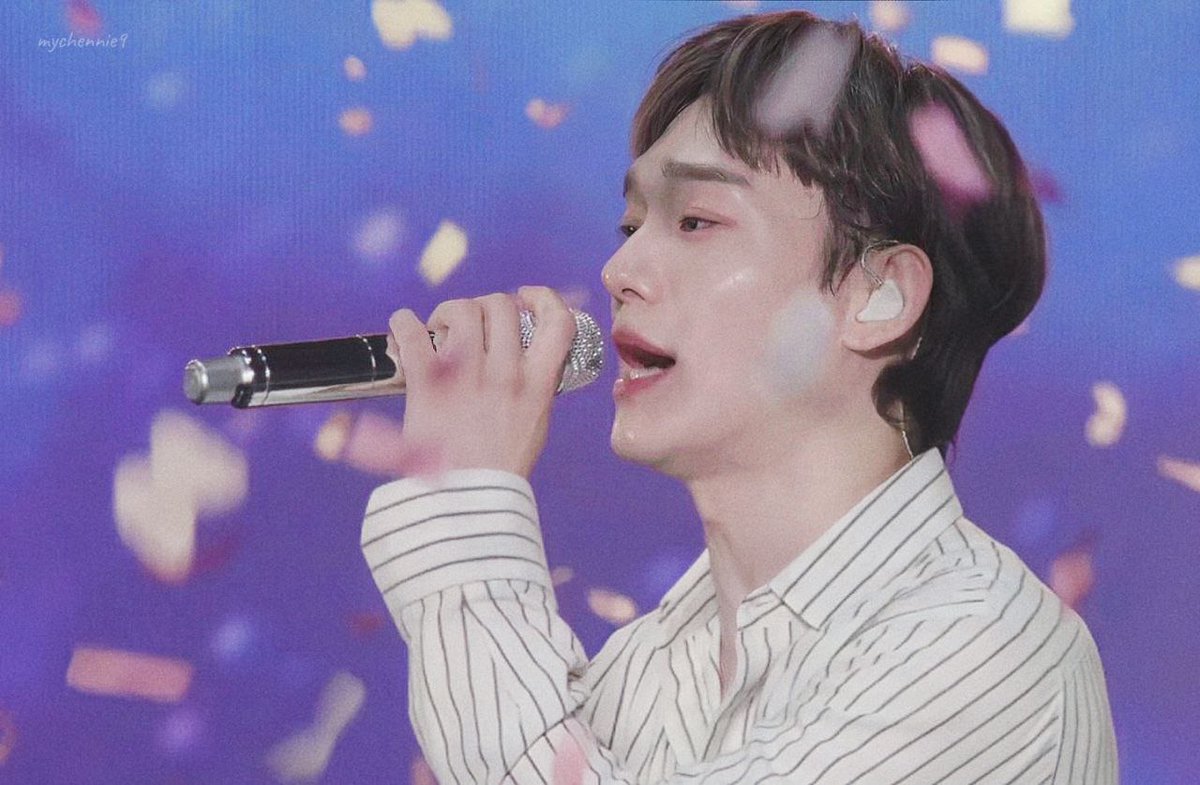 Pikuchen's tweet photo. He's so beautiful 💜 https://t.co/HDvigD2UIj