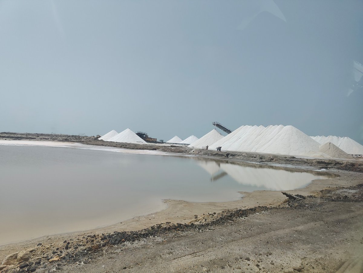 navinajafa's tweet photo. #performingindia Salt farming & Fakrani Jat camel culture on border are in conflict but there can be balance, coexistence, sustainability solutions. @Anjmeh @BIBEKANAND @anuradhamathur @Bhrigzz @boell_India @imme_scholz @incognito9 @CristinaAlbert4 @Ramu_Damodaran @paramiyer_ https://t.co/dpKUpSWSKI