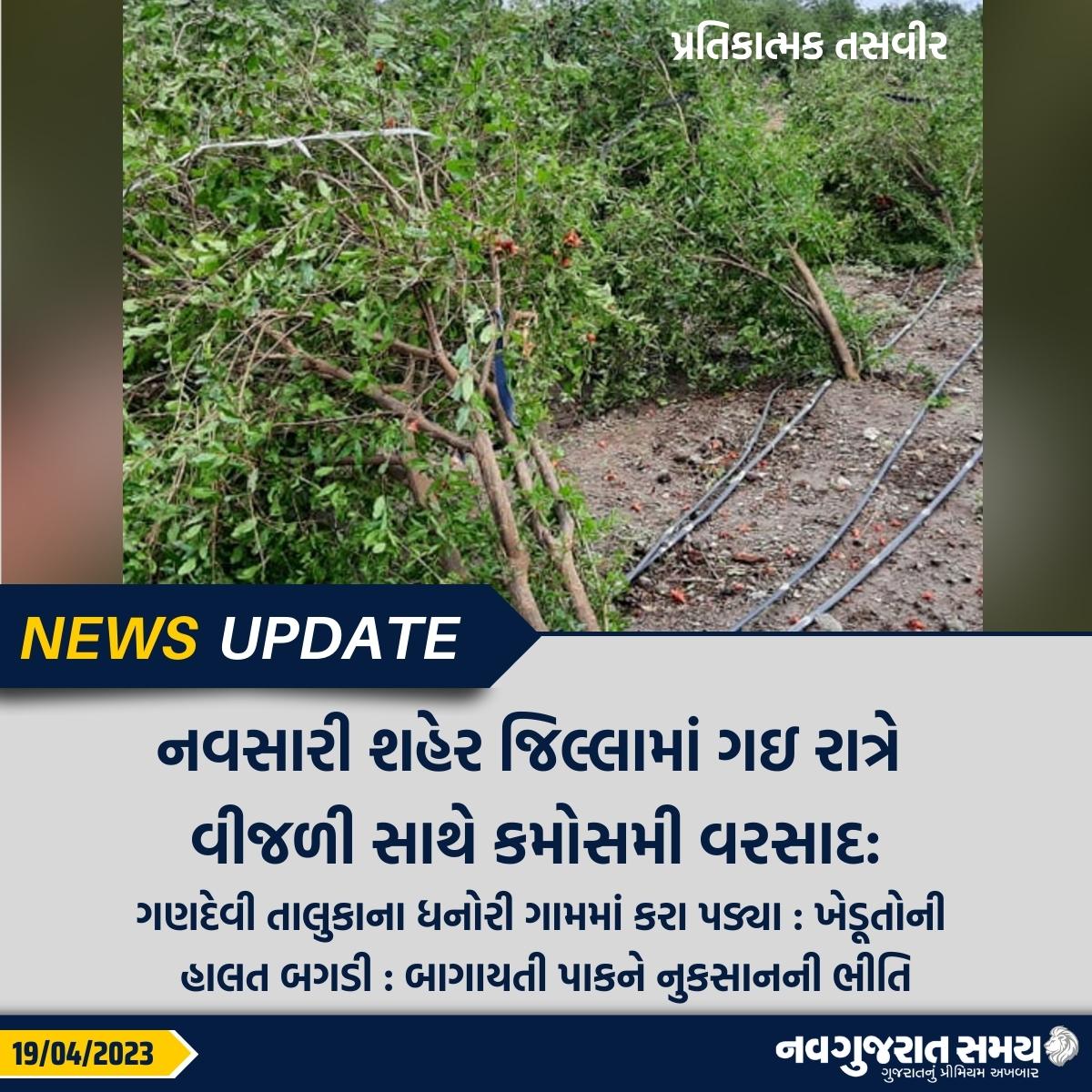 navgujaratsamay's tweet photo. નવસારી શહેર જિલ્લામાં ગઇ રાત્રે વીજળી સાથે કમોસમી વરસાદ
ગણદેવી તાલુકાના ધનોરી ગામમાં કરા પડ્યા : ખેડૂતોની હાલત બગડી : બાગાયતી પાકને નુકસાનની ભીતિ
#surat #navsari #unsessionalrain #snowrain #farmers #agriculture #cropdamage #weather #thunderstrom #navgujaratsamay #breakingnews https://t.co/g6DWyQGMEB