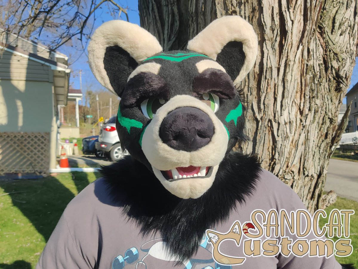 SandcatCustoms's tweet photo. Oh hey, big surprise, I forgot to upload photos of this finished suit! Whoopsie! Headbase and accessories by @FuzzButtFursuit, handpaw pattern by @Kloofsuits, footpaw pattern by @spiltgrapesoda! https://t.co/ZzqpDJDfNf