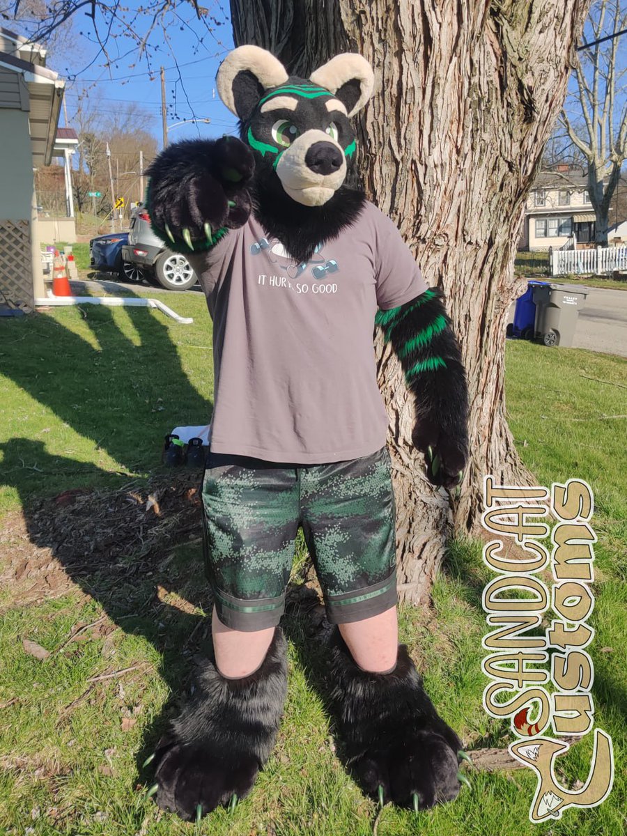 SandcatCustoms's tweet photo. Oh hey, big surprise, I forgot to upload photos of this finished suit! Whoopsie! Headbase and accessories by @FuzzButtFursuit, handpaw pattern by @Kloofsuits, footpaw pattern by @spiltgrapesoda! https://t.co/ZzqpDJDfNf