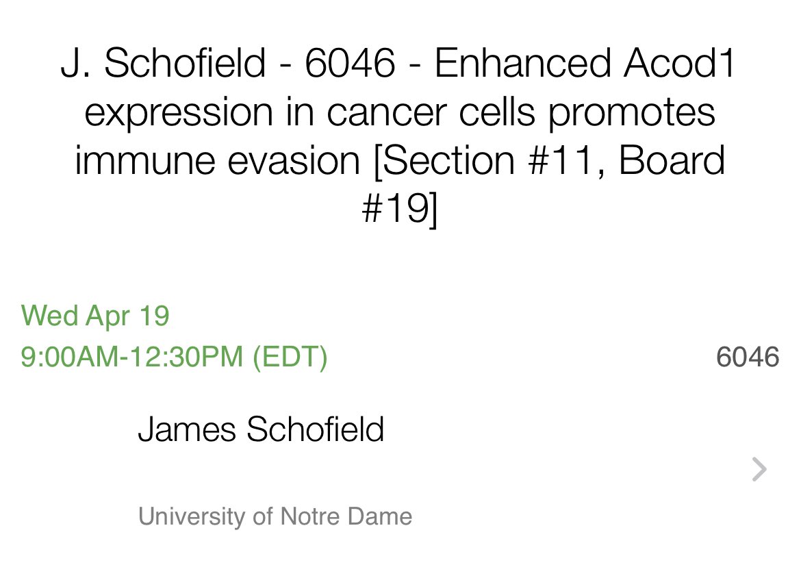 ZTSlab's tweet photo. Jamie Schofield @Schofield_isle closing out the contingent of #SchaferLab @NDBios @NDscience @NotreDame posters at #AACR23 on Wednesday  AM. Make sure to check out this exciting, unpublished story. #Itaconate #ACOD1 #TCells #Metabolism https://t.co/ba51HrNipq