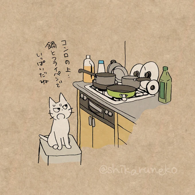 コンロの上が散らかり放題な人を叱ってくれる猫 