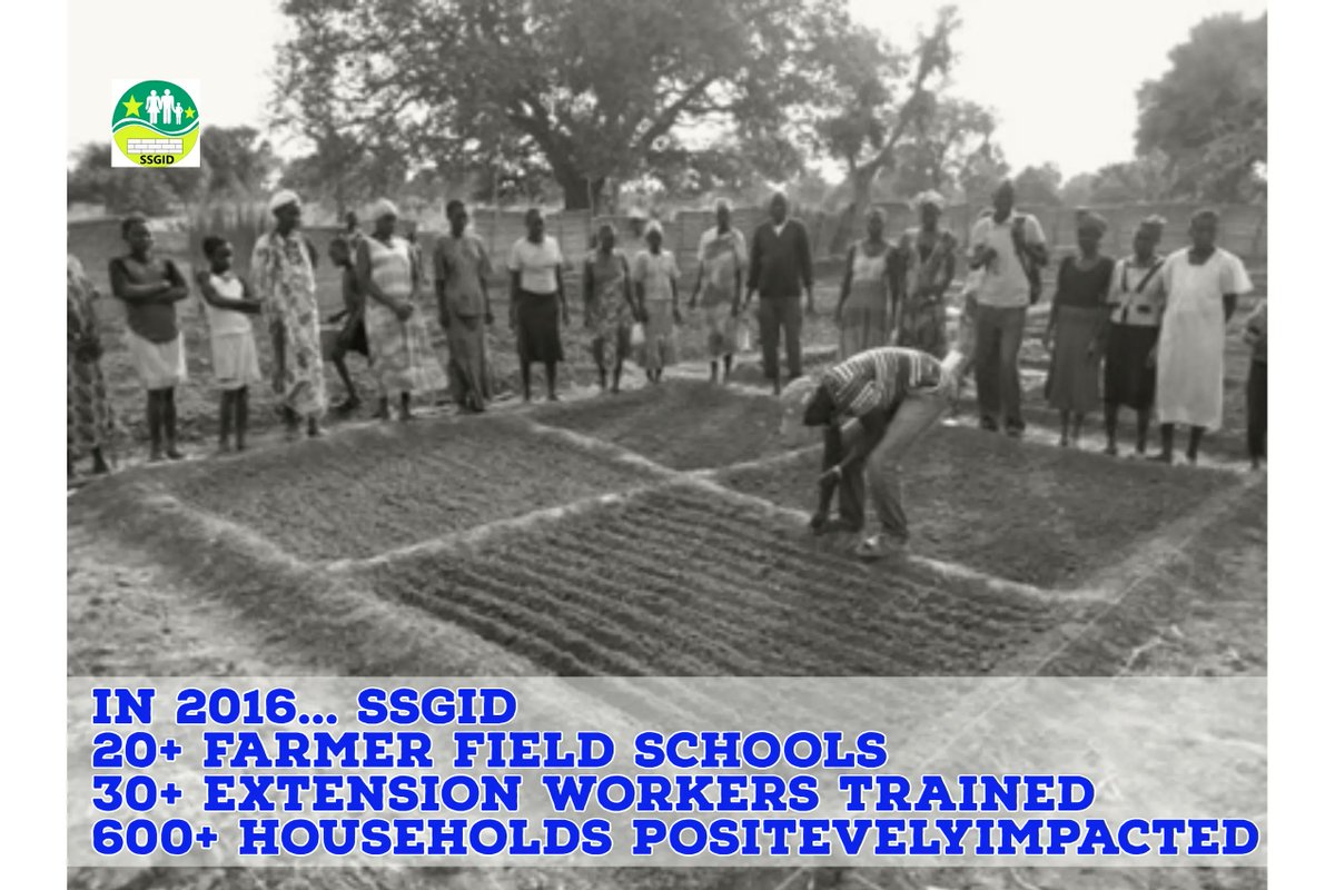 Through the support of FAO and SNV in 2016 SSGID reached more than 600 households in #SouthSudan through mordern farminig methods and  input distribution to transform the lives of the small scale farmers. 
#SSOT #Farming #humanitarian