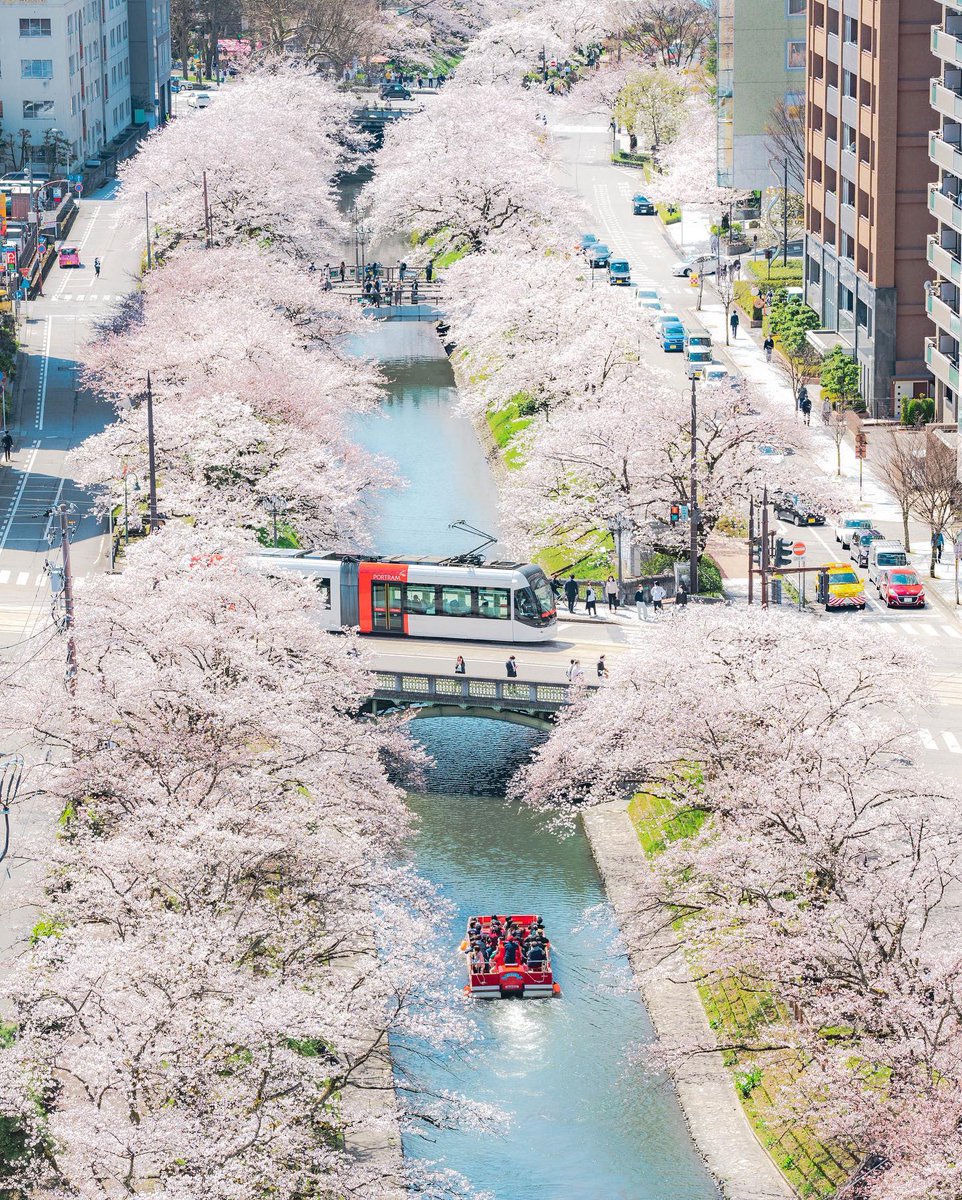 tokyocamerajp's tweet photo. inagakiyasutoさんの鉄道風景写真館 Instagramアカウントへの投稿作品。リツイート＆いいね！大歓迎です。
https://t.co/dPgsGFixmw https://t.co/YMIhPQqMzh
#traingallery_ig https://t.co/qXd6a7ClE6