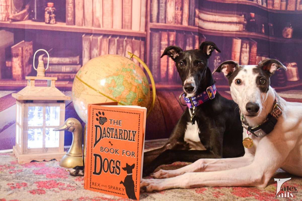 The Dastardly Book....

talesandtails.com/wordless-wedne…