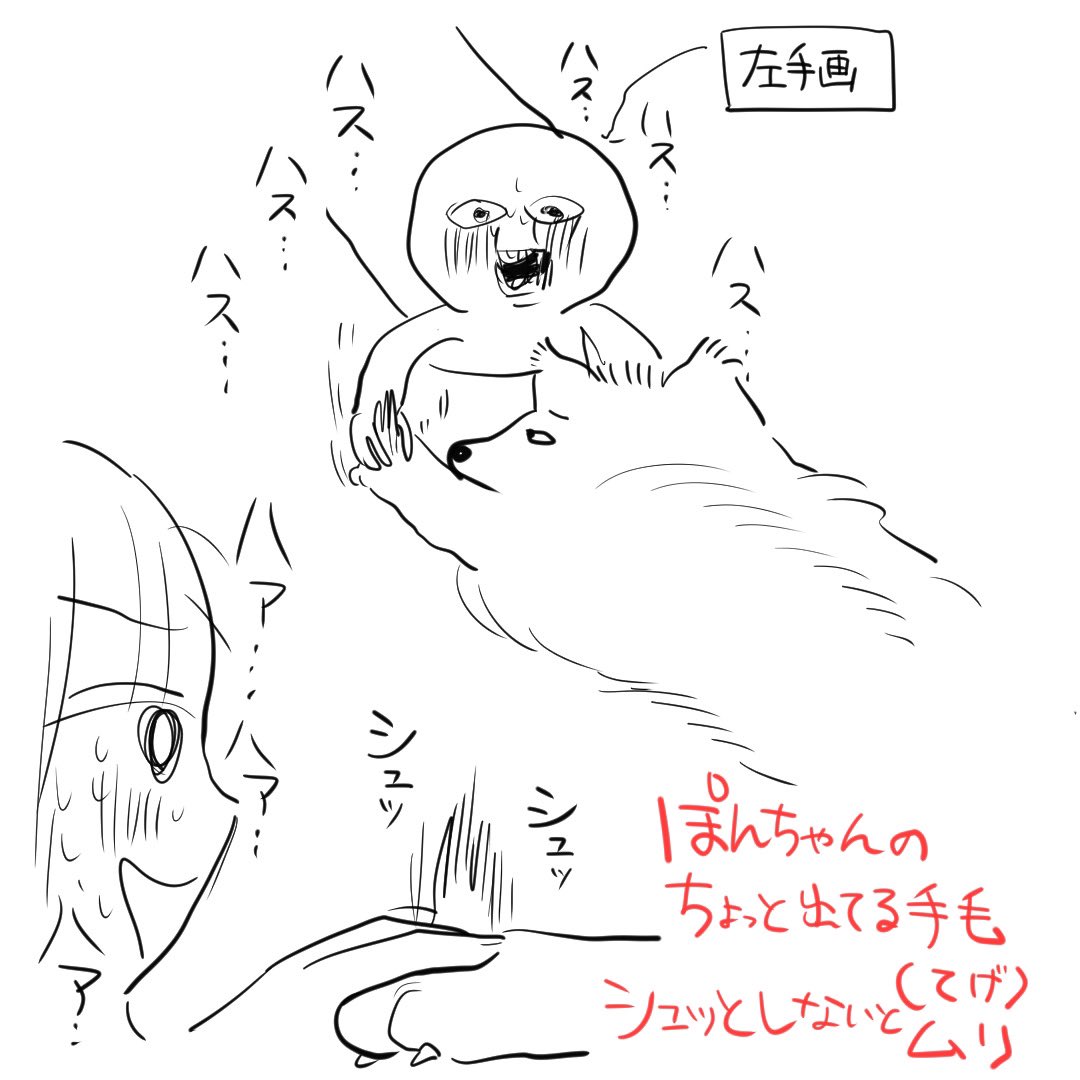 〜限界日記〜 疲の労を癒すために愛犬の手の若干長い毛を触るの巻〜 