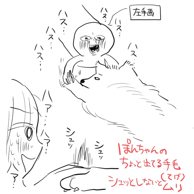 〜限界日記〜 疲の労を癒すために愛犬の手の若干長い毛を触るの巻〜 
