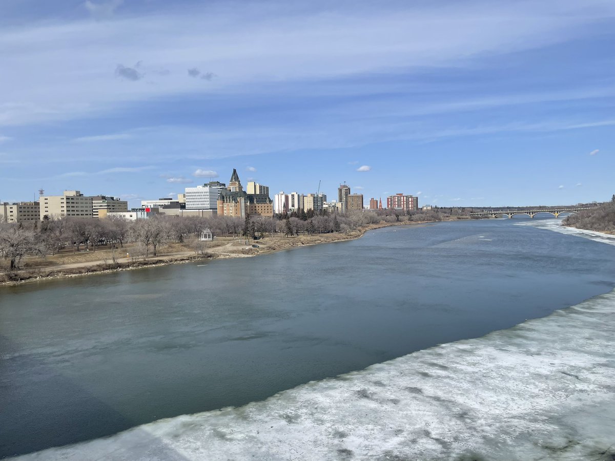 Andrew Walker🌻 tweet media