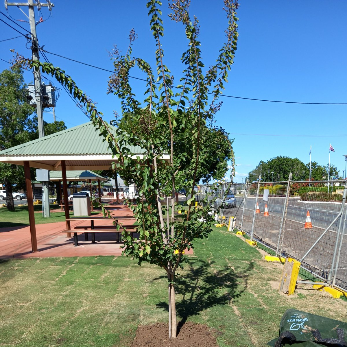 SouthBurnettRC's tweet image. Finishing touches to QEII Park Refurbishment 🌳
Council advises the refurbishment of QE II Park, Murgon is now in its final stages. @qldgovlocalgov
#W4Q #parks #sbrc #southburnettregion