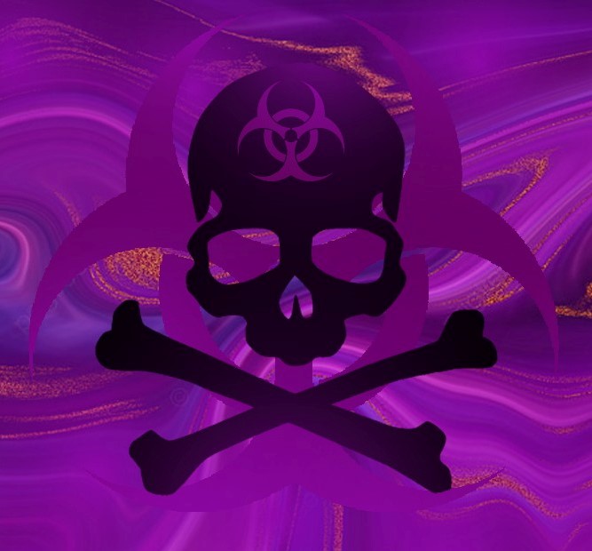 XTRMSTUDIOS tweet media