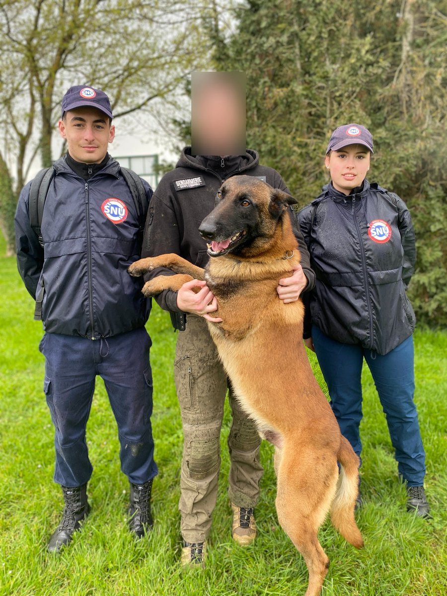 Cadets37's tweet photo. Entre démonstrations des capacités de ces deux unités, échanges avec leurs personnels 👮, les cadets ont pu découvrir ces spécialités @Gendarmerie dont la technicité est cruciale notamment lors d'enquêtes 🔍, de recherches de personnes...
2/3 https://t.co/l5oazYV83p