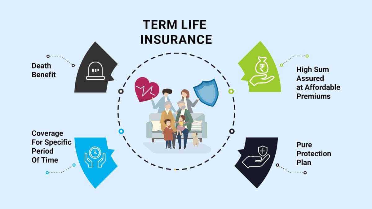 Life insurance. Life insurance quotes. Апекс лайф Иншуранс. New Life insurance. Term life