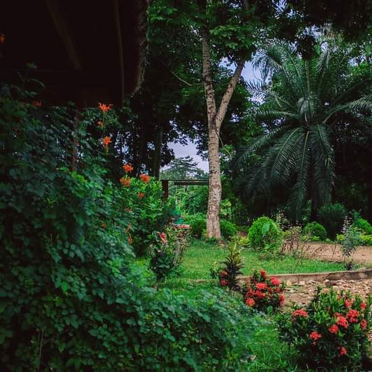 keta_vibes's tweet photo. 🌄🥾 Liati Wote and the Tagbo Falls Lodge is an ultimate spot for camping and outdoor adventures for all ages! ⛺️🦋

#campfire #campingvibes #campingwithkids #jolinaikoecotours #mountafadjato #tagbofalls #voltaregion #ghanawithkids #exploreghana #discoverghana #doghana https://t.co/eJIrEWeXod
