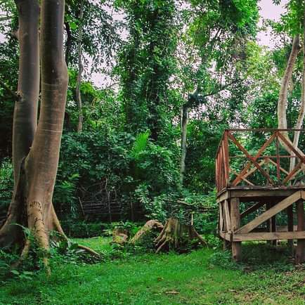 keta_vibes's tweet photo. 🌄🥾 Liati Wote and the Tagbo Falls Lodge is an ultimate spot for camping and outdoor adventures for all ages! ⛺️🦋

#campfire #campingvibes #campingwithkids #jolinaikoecotours #mountafadjato #tagbofalls #voltaregion #ghanawithkids #exploreghana #discoverghana #doghana https://t.co/eJIrEWeXod