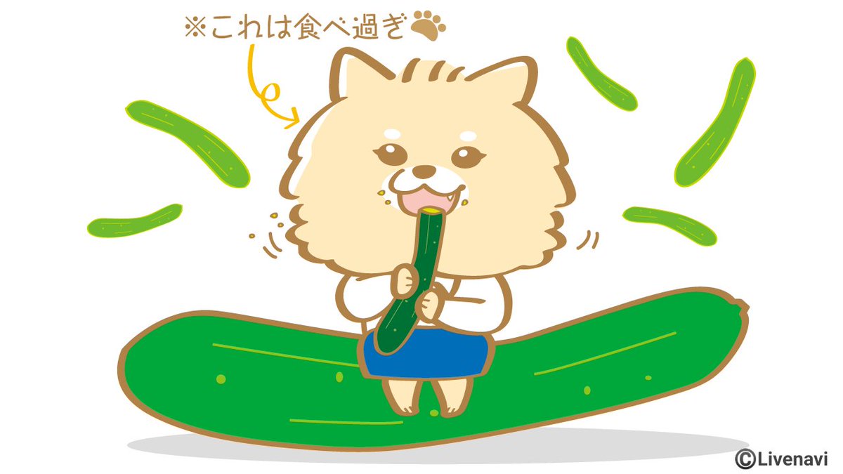 WANDEL_official's tweet photo. 今日は #良いきゅうりの日 🥒っす 
ワンさん🐶の水分補給💧におすすめ✨ 
食べ過ぎちゃうと下痢の原因になっちゃうので注意っす～✅
 #犬好きさんと繋がりたい https://t.co/q3KaPej7VD
