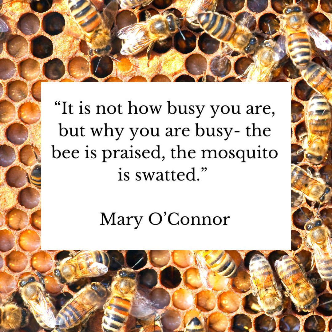 beeswithstories's tweet photo. Bee purposeful not just busy! 🐝

#beequotes #inspirationalquotes #positivity #beekeeping #honeyproducts https://t.co/p7i923PCOU