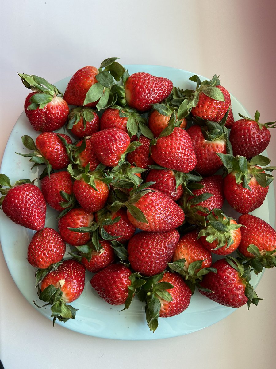 Gm 🍓 

I'm sending you rays of goodness☀️🫶🏻❤️ 
#NFTCommunity #NFTFam