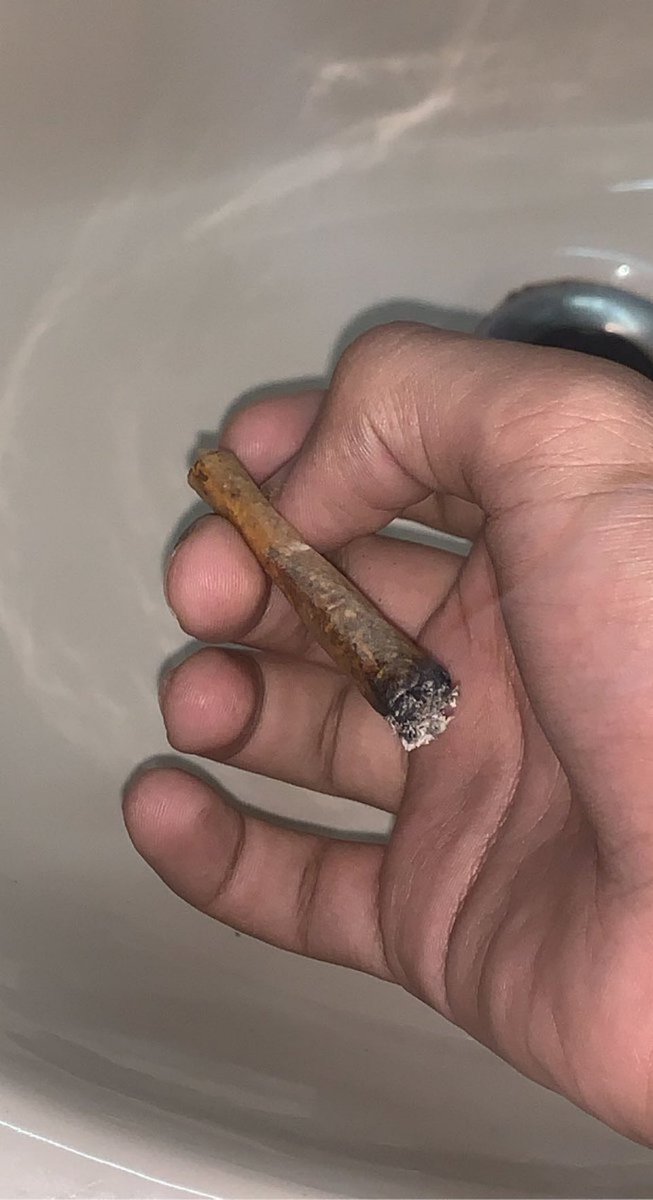 _joint_maker_'s tweet photo. Perfect Roll makes perfect morning ☀️ https://t.co/Apujt2bpq6