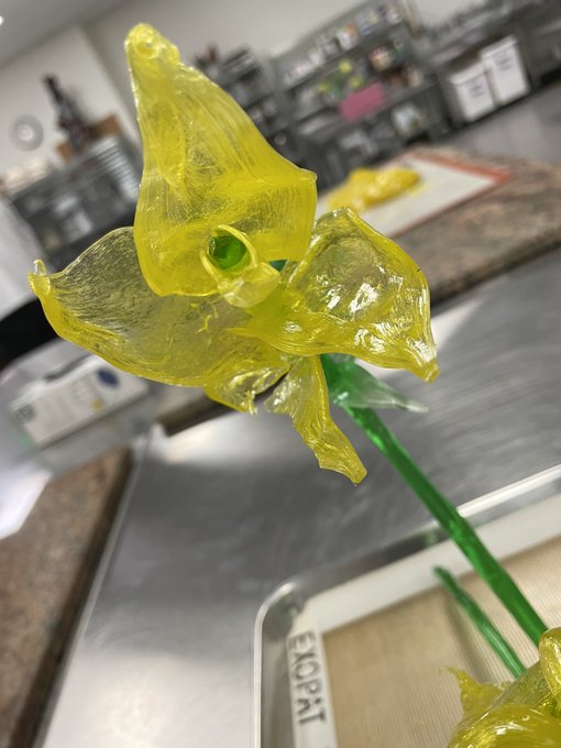 So we did this today. I feel like a bad ass&hellip; it&rsquo;s completely made of sugar and I made that piece all<a href="/tag/acl"class="tags"><span>#acl</span></a><a href="/tag/austincitylimits"class="tags"><span>#austincitylimits</span></a>