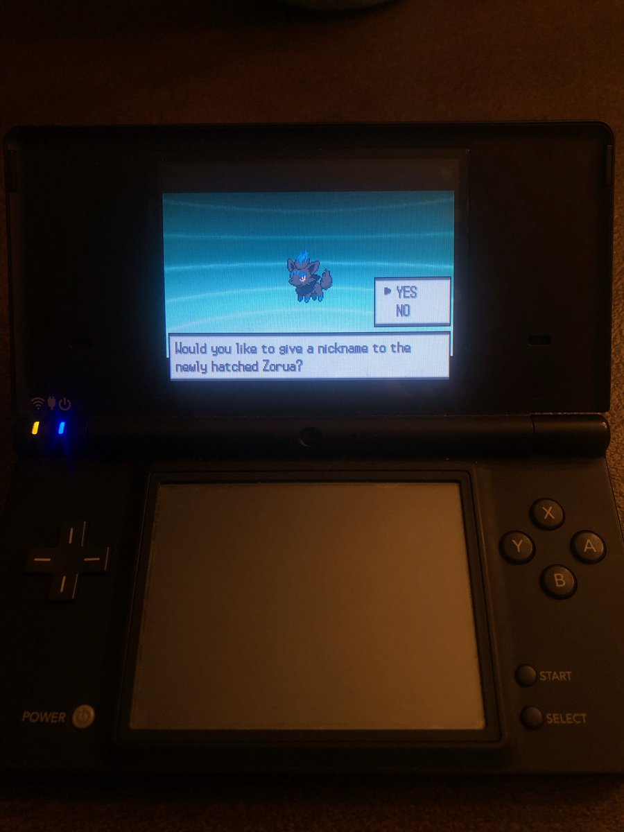 Full Odds Shiny Zorua in Black after 754 eggs!!! My first 1/8192 shiny egg, and my second full odds egg ever after Sprigatito on Saturday! #ShinyPokemon #Eggmonth #EggMonth2023