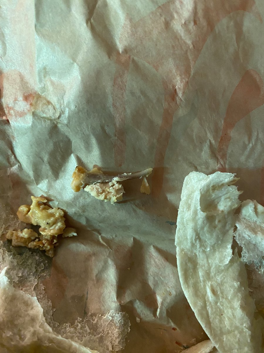FridayJFoster's tweet photo. Whole bone in my @tacobell chicken roll up! They tried to kill me… https://t.co/dzxtptjTK4