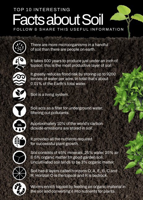Soil degradation can lead to increased greenhouse gas emissions. Let's protect the planet and work towards a more sustainable future by taking action to #SaveSoil. #OneYearOfSaveSoil