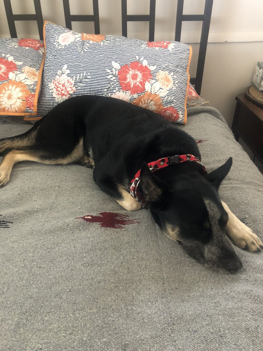 m. (@sumavragetiler) on Twitter photo 