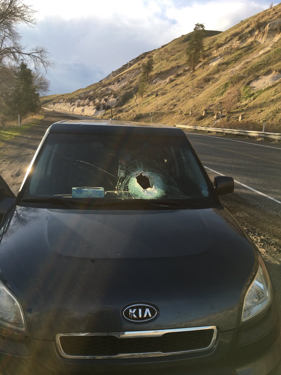 Rafaellcord's tweet photo. A rock falling down this hill smashed through my windshield today omw home from work. Insurance won’t cover it and I can’t get to work (40 min drive) w/o my car if anyone could help me out that would be greatly appreciated 
Venmo: @ rafaellcord https://t.co/2T2lQycfSo