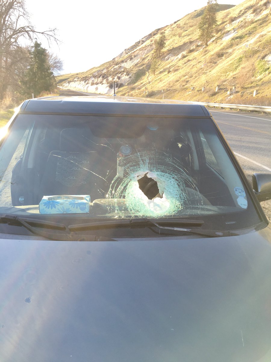 Rafaellcord's tweet photo. A rock falling down this hill smashed through my windshield today omw home from work. Insurance won’t cover it and I can’t get to work (40 min drive) w/o my car if anyone could help me out that would be greatly appreciated 
Venmo: @ rafaellcord https://t.co/2T2lQycfSo
