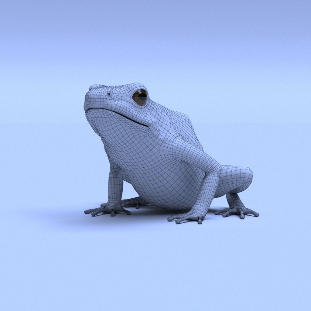 CGCauldron's tweet photo. 3D Model, Oophaga Histrionica (Harlequin Poison Dart Frog)
Maya / V-Ray / ZBrush / Substance Painter  

CG frog - Wildlife scene https://t.co/jYjF8NbXZQ