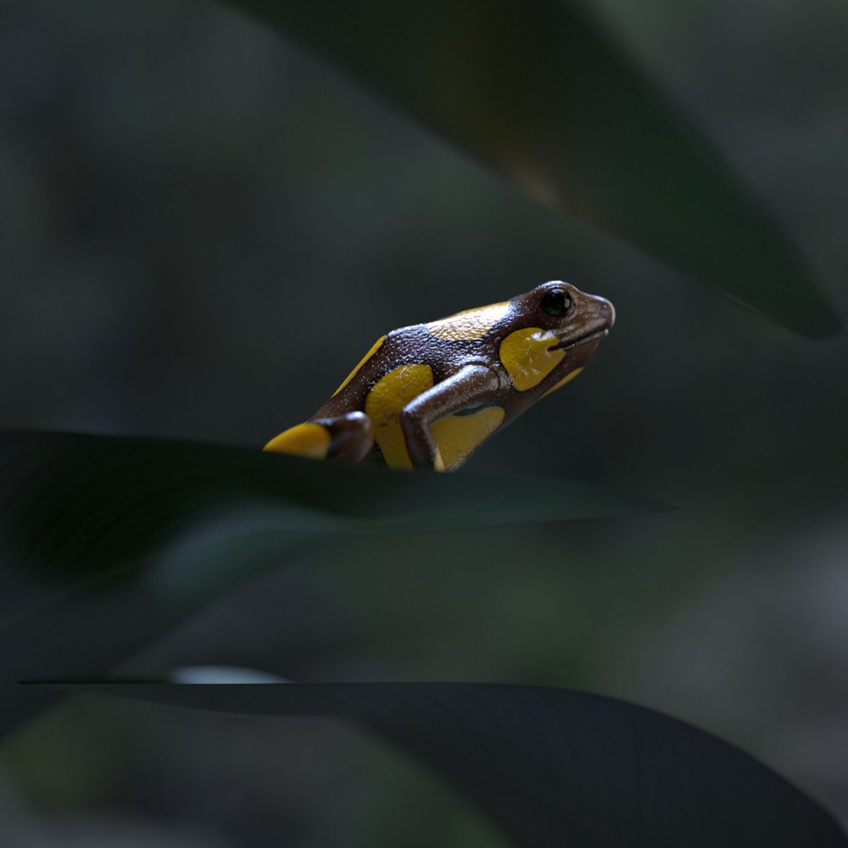 CGCauldron's tweet photo. 3D Model, Oophaga Histrionica (Harlequin Poison Dart Frog)
Maya / V-Ray / ZBrush / Substance Painter  

CG frog - Wildlife scene https://t.co/jYjF8NbXZQ