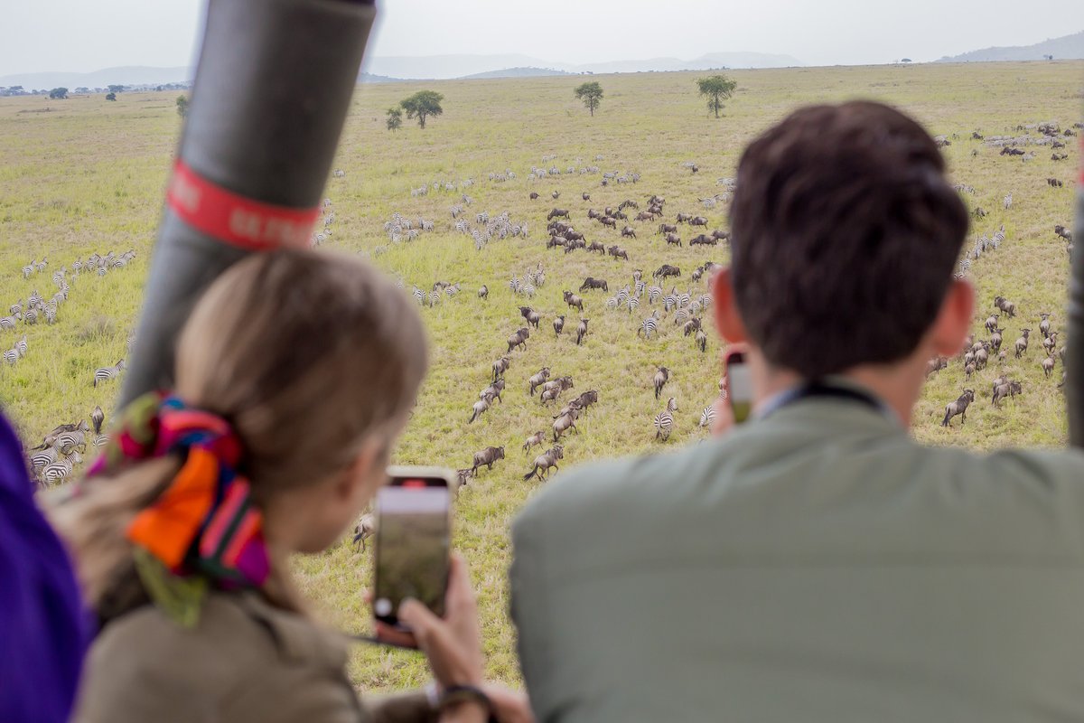 Serengeti Balloon Safaris tweet media