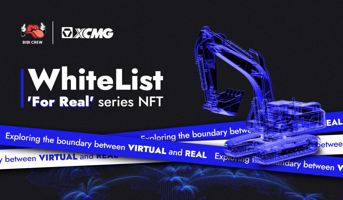 BiBiRider tweet media