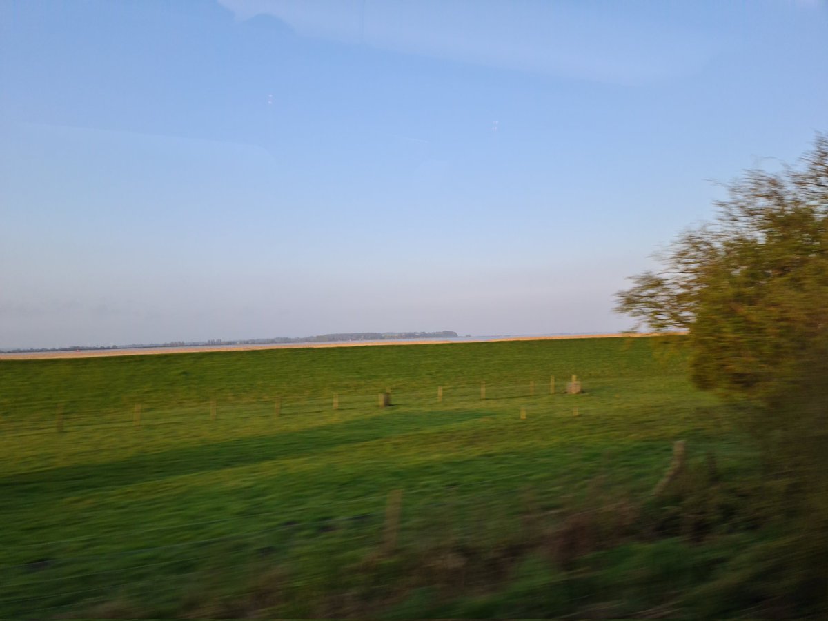 Maxine Holt tweet media