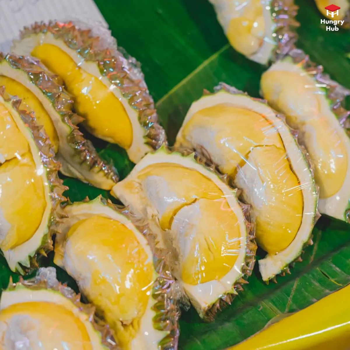 Hungry Hub tweet media