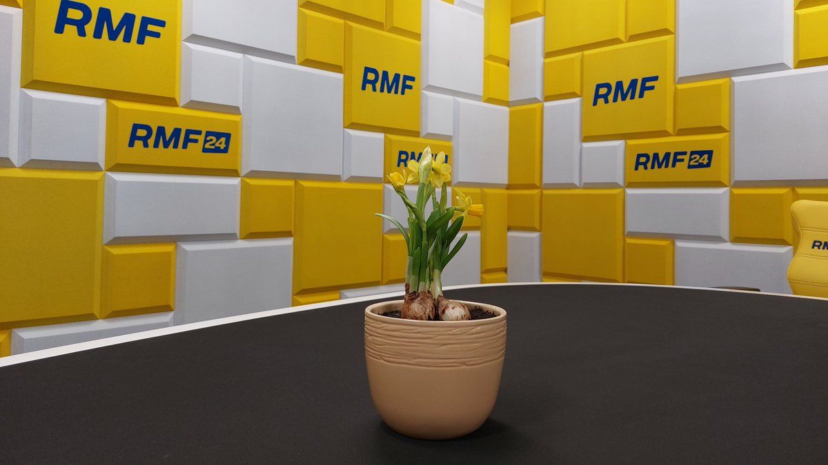 Rozmowa_RMF's tweet photo. Żonkile symbolizują szacunek, pamięć i nadzieję. Żonkile co roku otrzymywał od anonimowej osoby w rocznicę wybuchu powstania w getcie warszawskim jeden z jego przywódców, Marek Edelman. O 80. rocznicy powstania porozmawiamy już za chwilę w Porannej #RozmowaRMF @RMF24pl https://t.co/1yd6TTWIyY