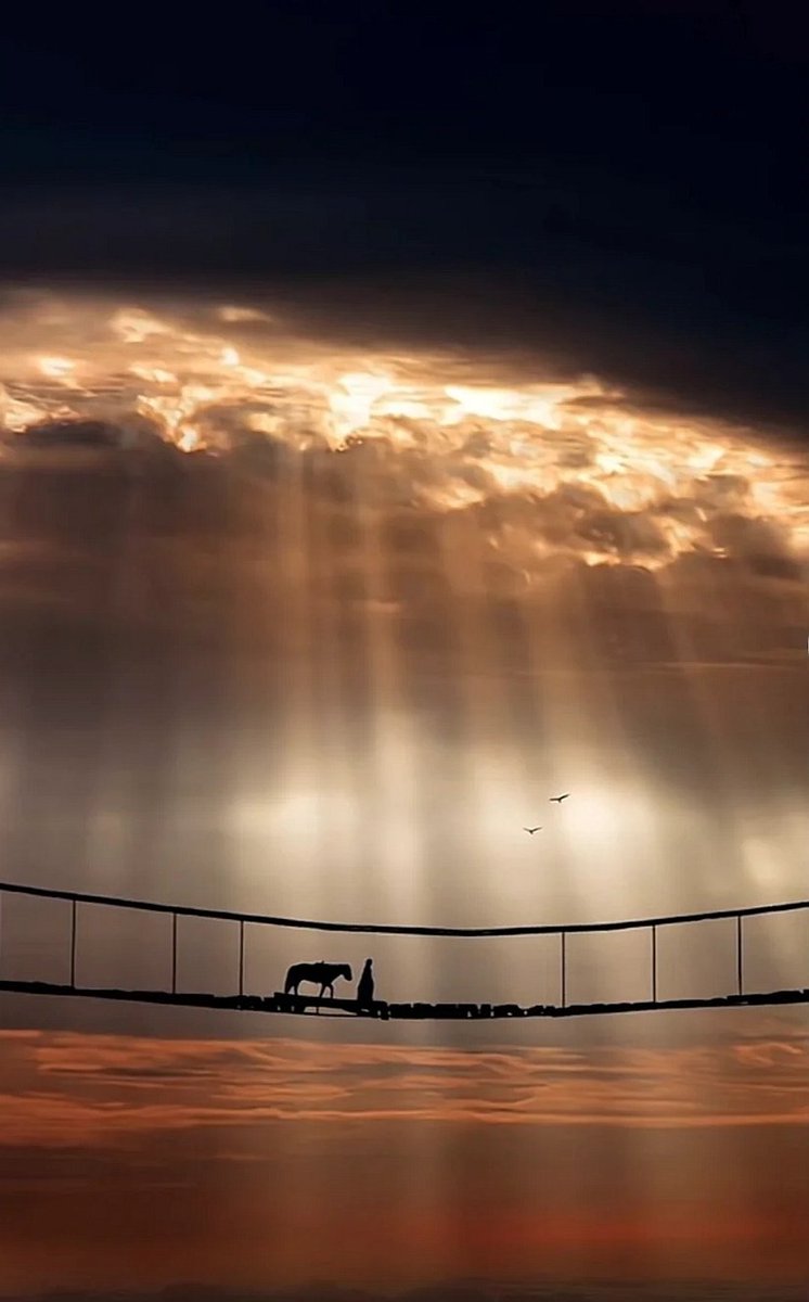 Great achievement is usually born of great sacrifice, and is never the result of selfishness.

Napoleon Hill