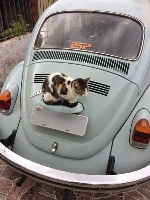 place where car shouldnt be (@carshouldnt) on Twitter photo 
