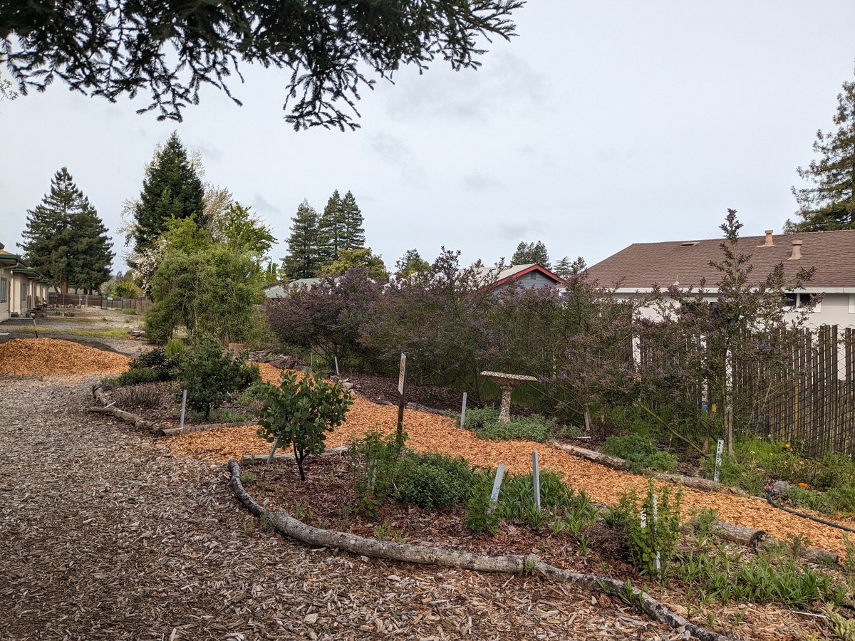 Our garden celebration is less than a week away. See all the details here:
fb.me/e/Q80ucUJK