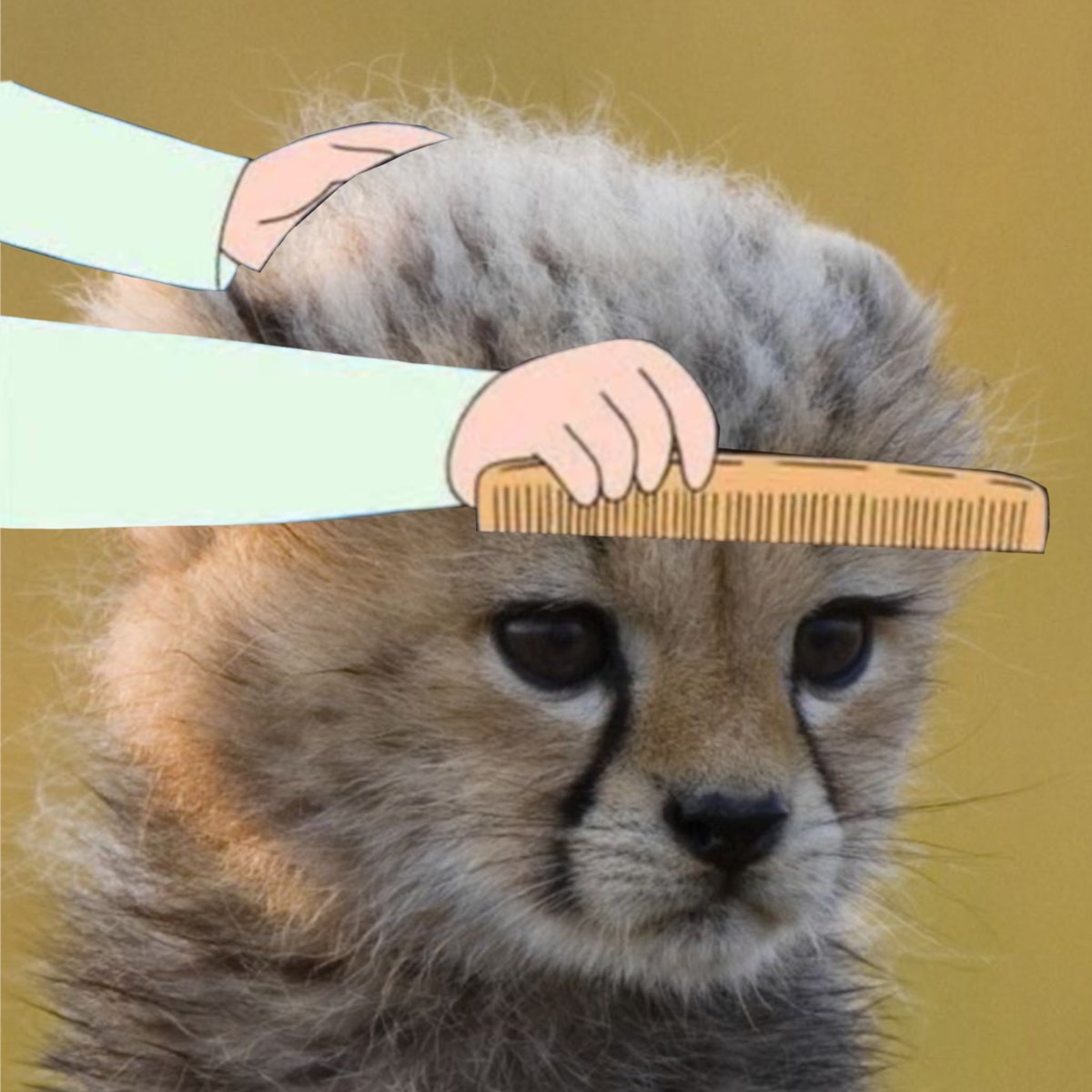 ᐧ༚̮ᐧe tweet media