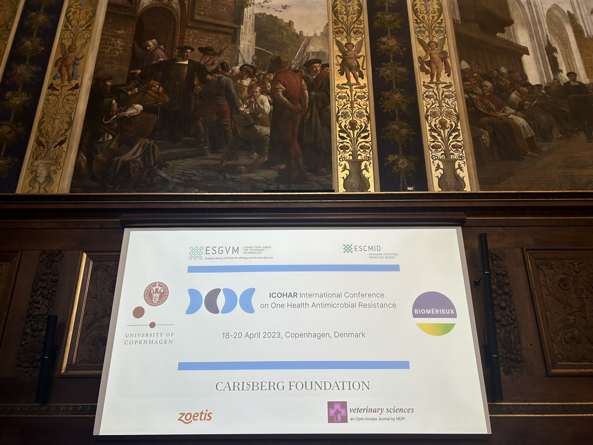 vavvet's tweet photo. ICOHAR 2023! What an amazing venue for this special conference! @ESGVM @ESCMID #AMR #OneHealth https://t.co/06V3Sj7S02