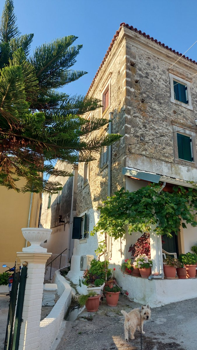 LittleIremia's tweet photo. A nice looking old house in the centre of our village of Kouspádes, in South Corfu.
#corfulife #corfuvibes #corfugram #corfuislandgreece #korfu #corfu🇬🇷 #corfu2023 #corfuisland #corfugreece #corfuisland🌴 #corfu❤️ #corfu #corfuholidays #corfutravel #corfulove #corfutourist https://t.co/sIRsXMG6lJ