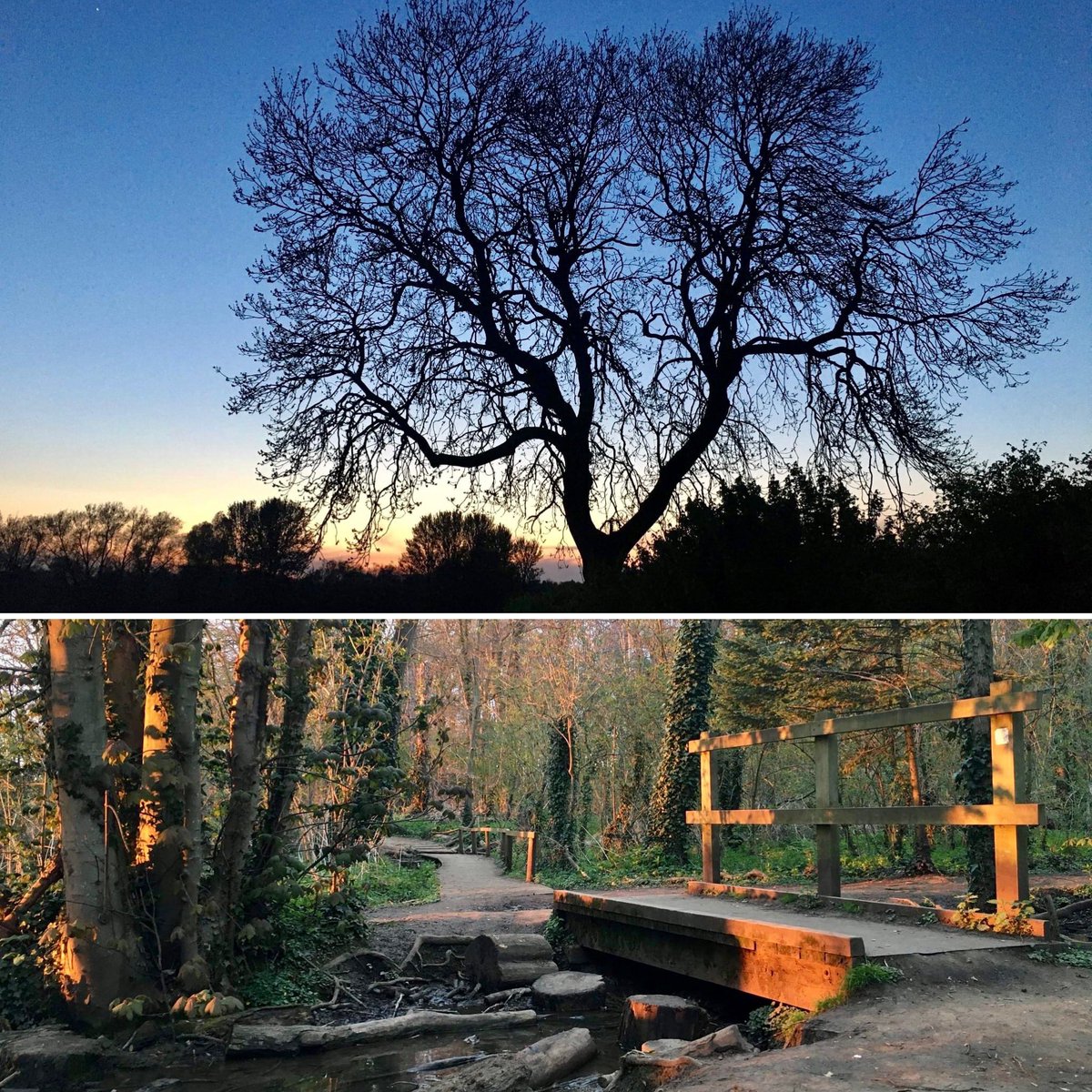 StagWalkers's tweet photo. Fancy an evening walk? Join us tonight in Hitchin! 

🥾Starting at 7pm, we’ll be making the most of the daylight with a short ramble around some local nature reserves and countryside 

🗓️Please see our Meetup group for full details and to book a place on the walk 

@RamblersGB https://t.co/rk5heVCUbP