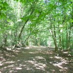 Photo by Radio Haslemere - @radiohaslemere@mastodonapp.uk (@RadioHaslemere)