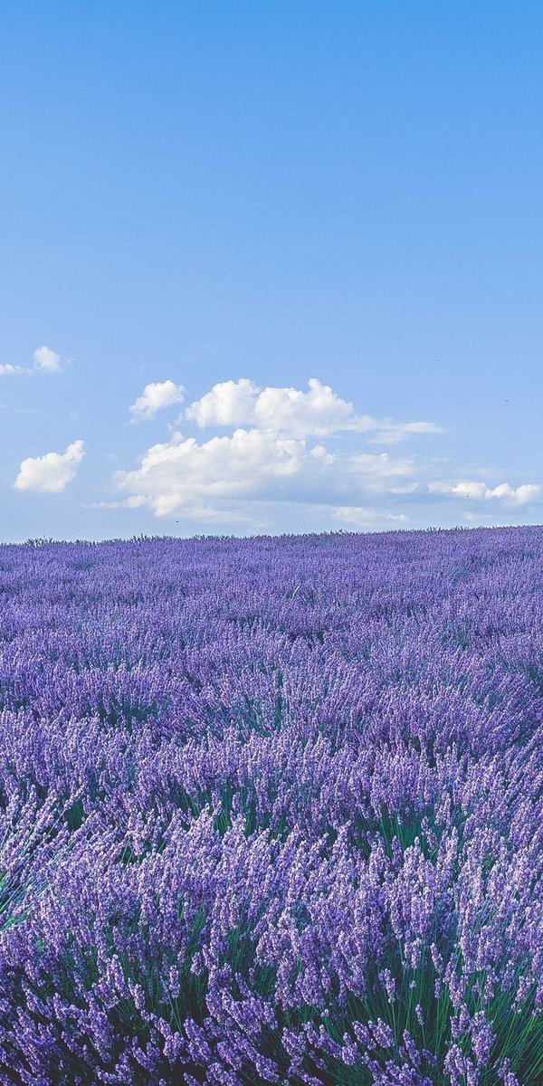 _eself's tweet photo. #DoseOfTranquility, 10" of Mindfulness
focus on the Horizon & "breath the scenery"
Breath in ~ • ~ Breath out
• all thoughts disperse
• your emotions calm
• enjoy the tranquil moment
#selfLab | @metaTherapies https://t.co/jRlFXlTUnf
