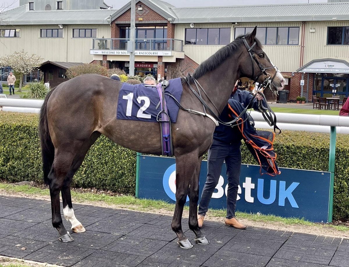 ianbyers's tweet photo. Unfortunately I wonβt be at @Beverley_Races today to see my @MprUpdates syndicate horse Mr Beaufort run. Good luck to jockey @_JasonWatson and all fellow owners, do give him a pat from me. π #RunFastBeSafe #TeamBeaufort #TeamMPR https://t.co/KPuCYIlEhv