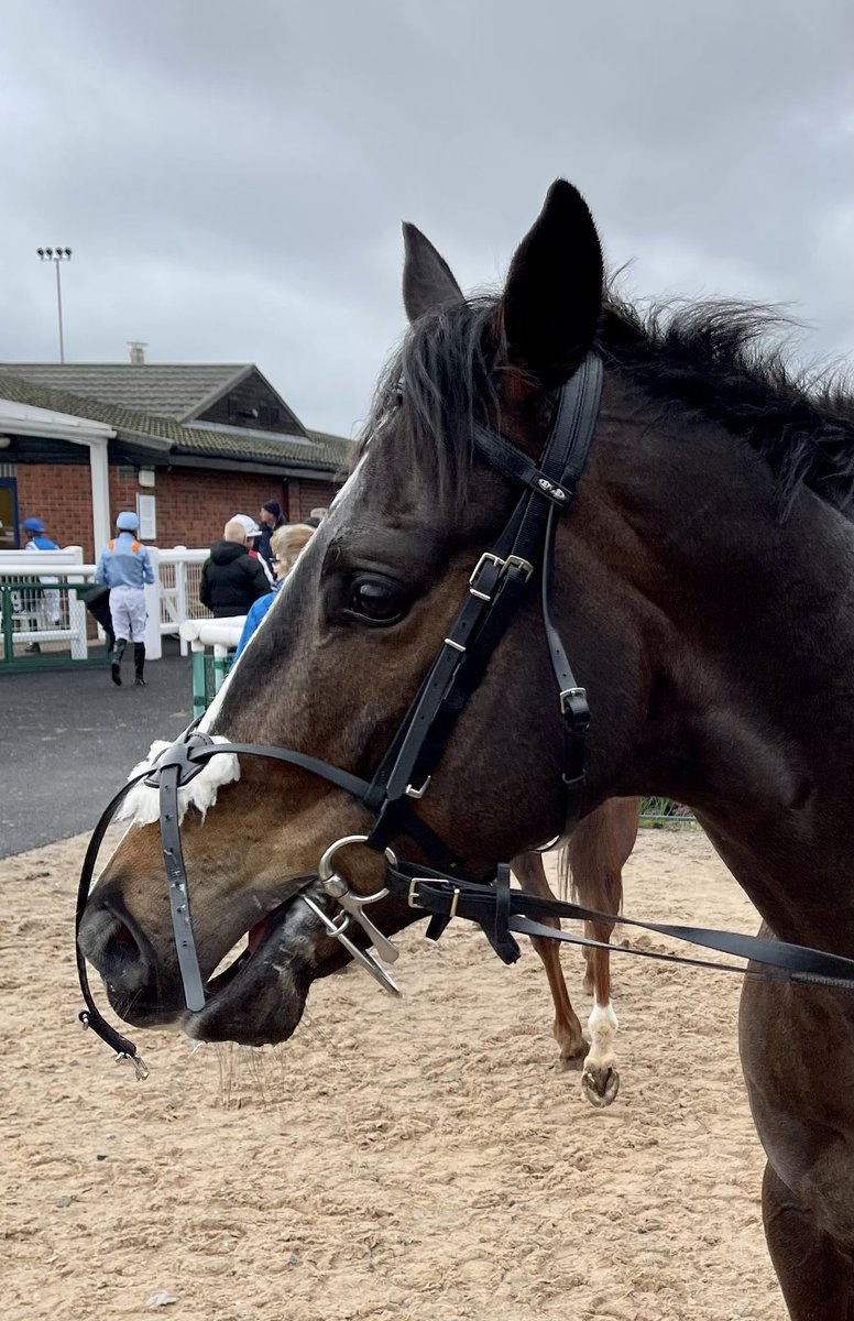 ianbyers's tweet photo. Unfortunately I wonβt be at @Beverley_Races today to see my @MprUpdates syndicate horse Mr Beaufort run. Good luck to jockey @_JasonWatson and all fellow owners, do give him a pat from me. π #RunFastBeSafe #TeamBeaufort #TeamMPR https://t.co/KPuCYIlEhv