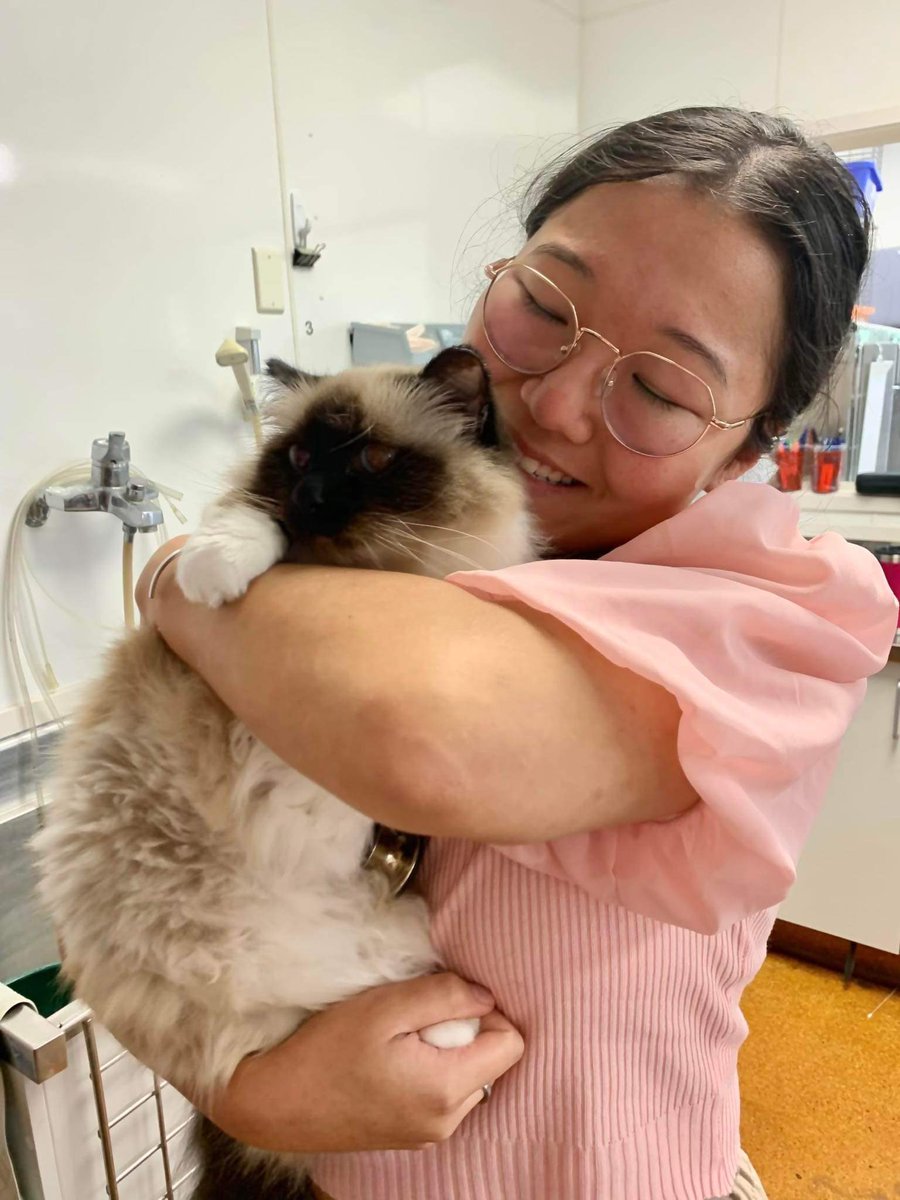 As someone who’s been a vet for a while, this is a phenomenal photo. A couple of months ago this cat, Anya, presented to our vet Habin (the hugger). The cat had FIP - a 100% fatal viral infection caused by feline coronavirus. She was very sick, heading towards euthanasia.